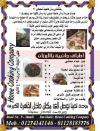 HOME Cooking Company menu Egypt